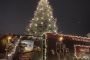 Vorweihnachtliche Überraschung
