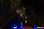 11.02.2020 ab 00:51 Uhr | TH Bäume auf Pkws/Straße