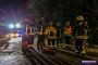 11.02.2020 ab 00:51 Uhr | TH Bäume auf Pkws/Straße