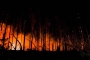 13.08.2022 17:43 UHR | BRANDEINSATZ WALDBRAND, DILLENBURG (67)