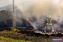 17.05.2020 15:06 UHR | GROSSBRAND REITERHOF DORNBURG-THALHEIM