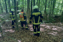 20260906_H1-Wald-I