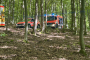 20260906_H1-Wald-II
