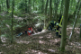 20260906_H1-Wald-III