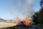 22.08.2019-Brandeinsatz-Waldbrand-Molsberg-2