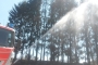 Waldbrand-002