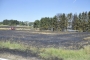 Flächenbrand Dreikirchen