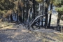 Flächenbrand Dreikirchen