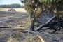 Flächenbrand Dreikirchen