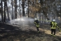 Flächenbrand Dreikirchen