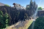 28.06.2017 10:31 Uhr | Brandeinsatz Hecke, Frhr.-vom-Stein-Straße